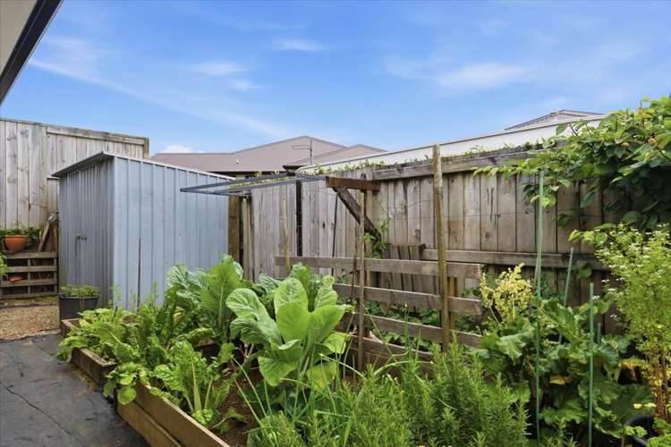 10B No 2 Road Te Puke_23