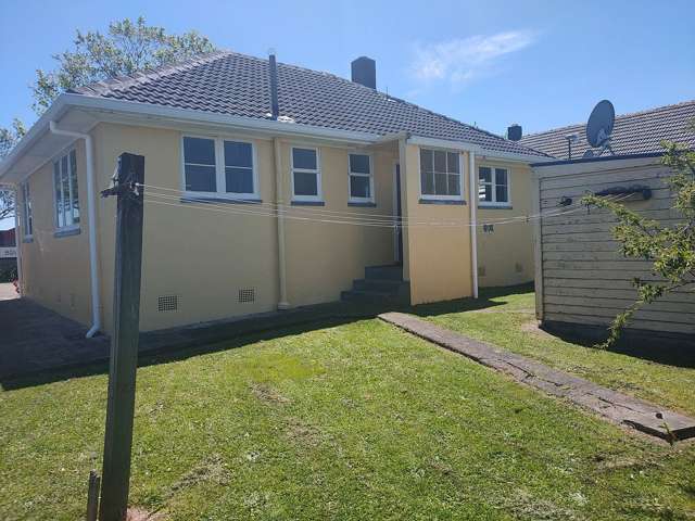 616 Featherston Street Roslyn_3