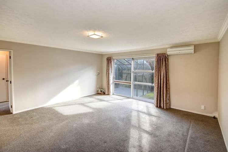 84b Hargest Crescent Saint Clair_4