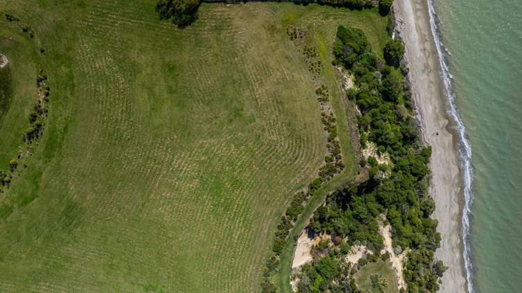 45 Deck Road Tasman_30