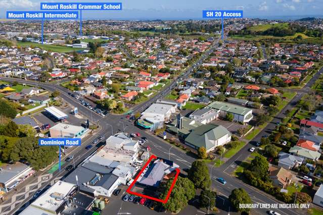 368 Mount Albert Road Mount Roskill_2