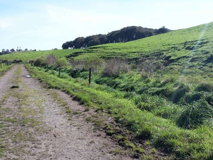 346 Rugby Road Tariki_77