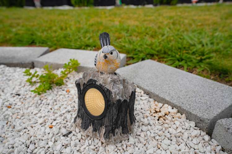 3 Aberdeen Drive Dinsdale_21