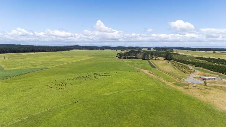 715 Santoft Road Bulls_22