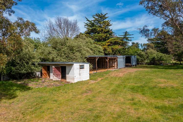 328 Purchas Road Amberley_20