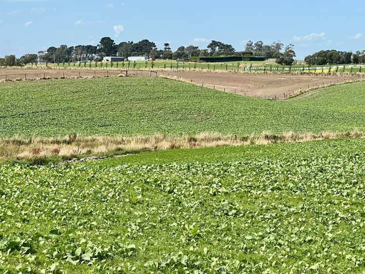 135 Orr Road Waimatua_6