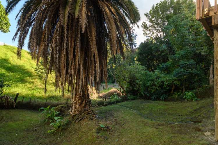 180b Bellevue Road Bellevue_13