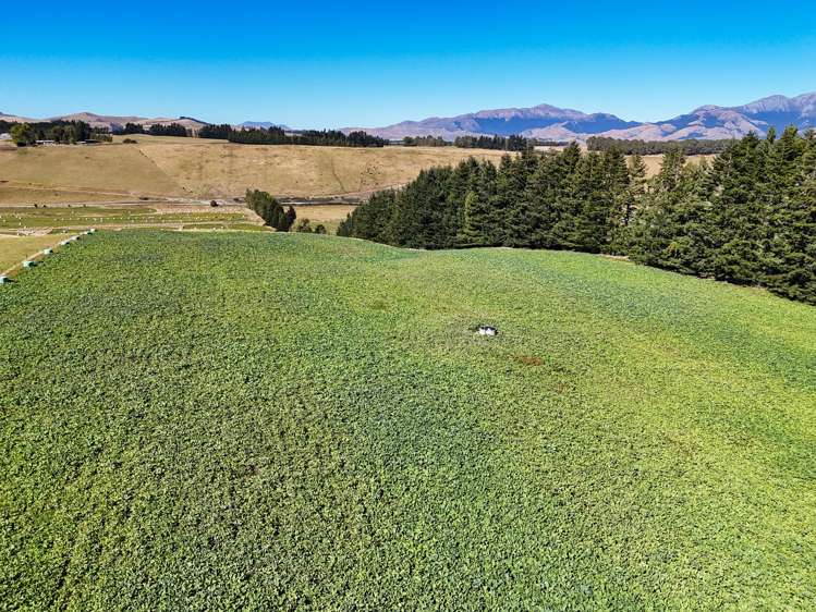 376 Whitestone Road Te Anau & Surrounds_11