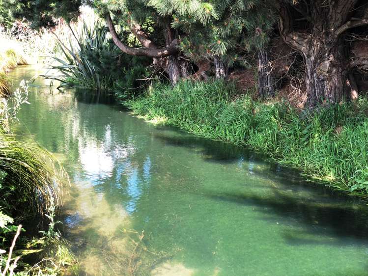 83a Ellesmere Road Halswell_10