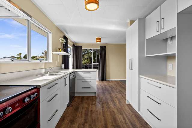 5 Sutherland Street Tamatea_1