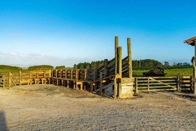 2611 Pouto Road Te Kopuru_23