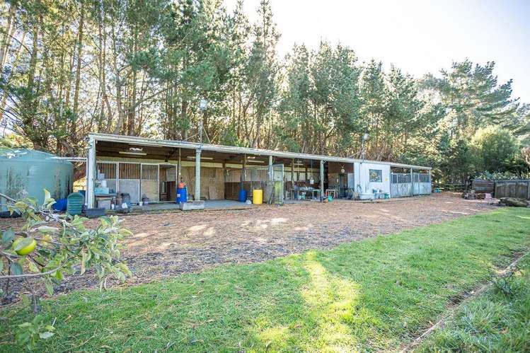 356 Matamau Ormondville Rd Dannevirke_16