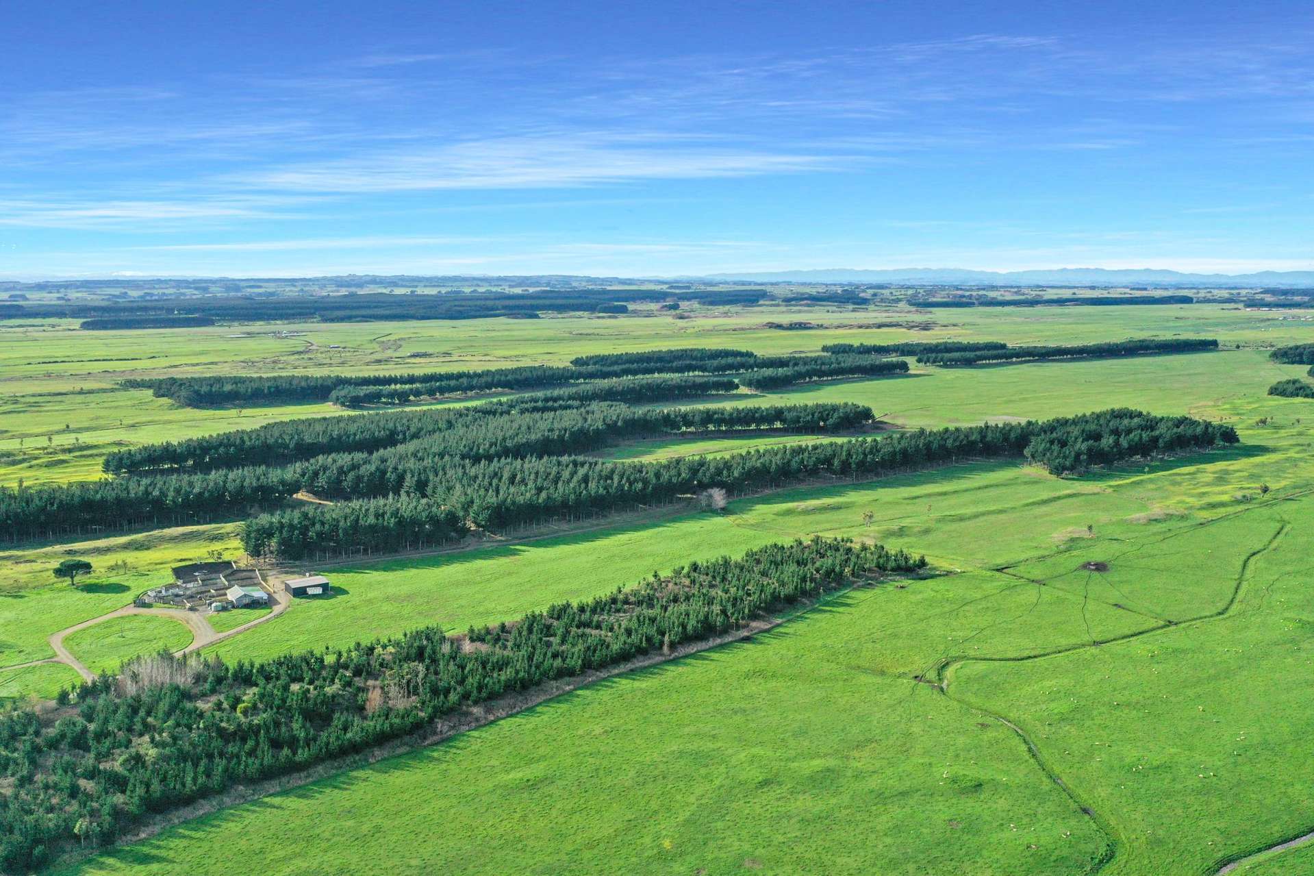 200 Beamish Road Bulls_0