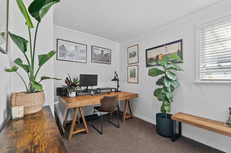 3 Arundel Street Hillsborough_9