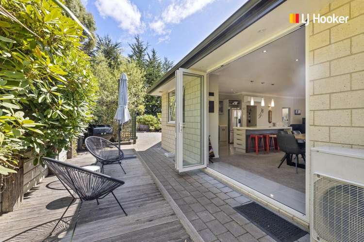 815 Mount Cargill Road Mount Cargill_8