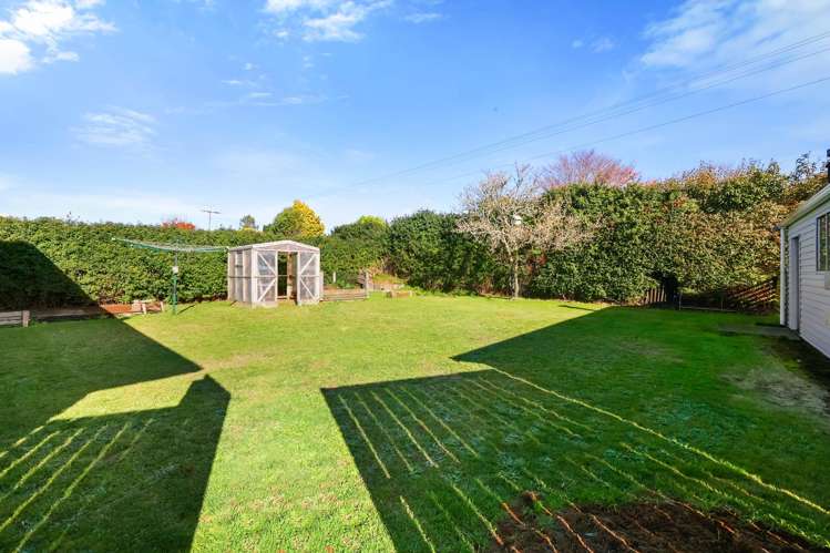 18d Saxton Road Upper Vogeltown_14