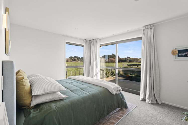 39 George Street Bulls_22