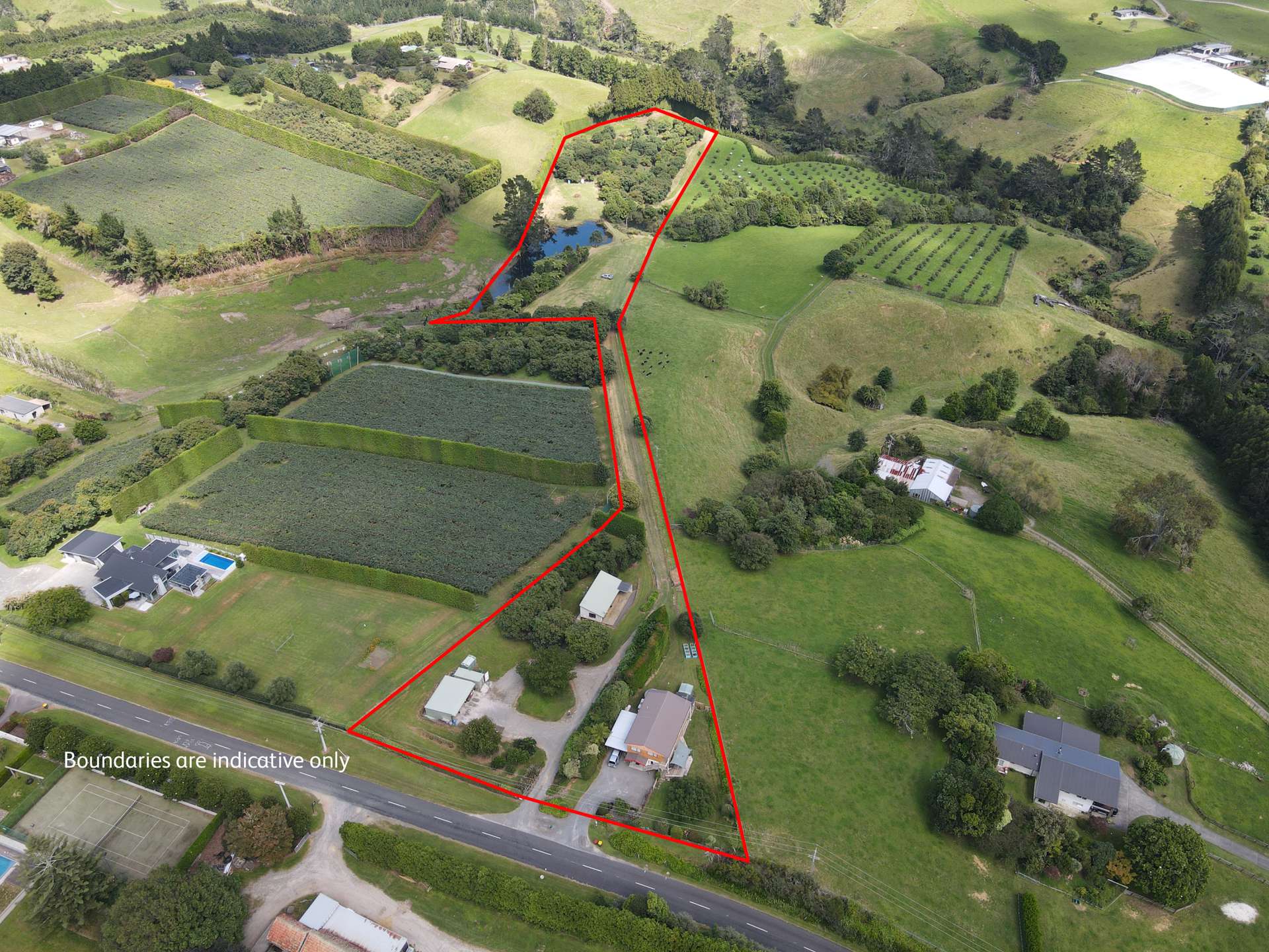 342 Youngson Road Whakamarama_0