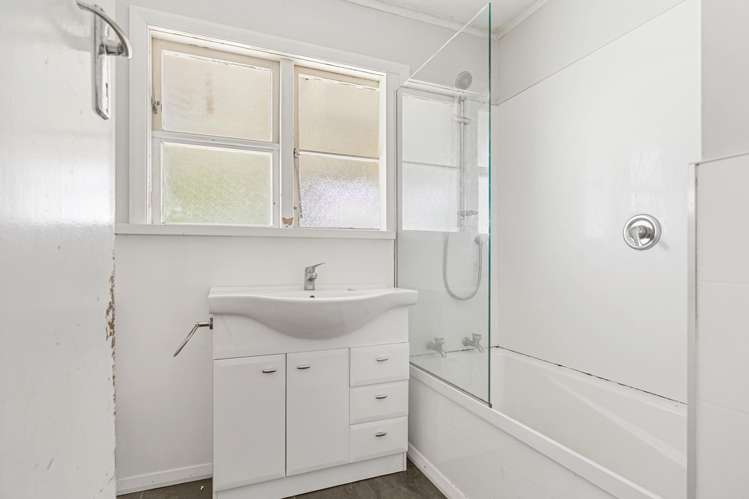 7A Roosevelt Street Levin_12