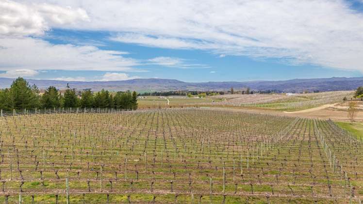 236 Letts Gully Road Alexandra_29