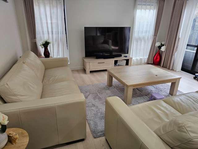 44d White Swan Road Mount Roskill_3