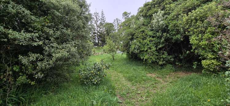 12 Ngatitoa Street Takapuwahia_9