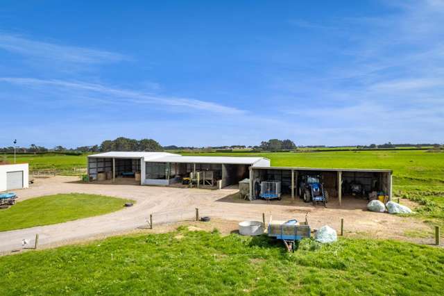 455 Lower Duthie Road Kaponga_1