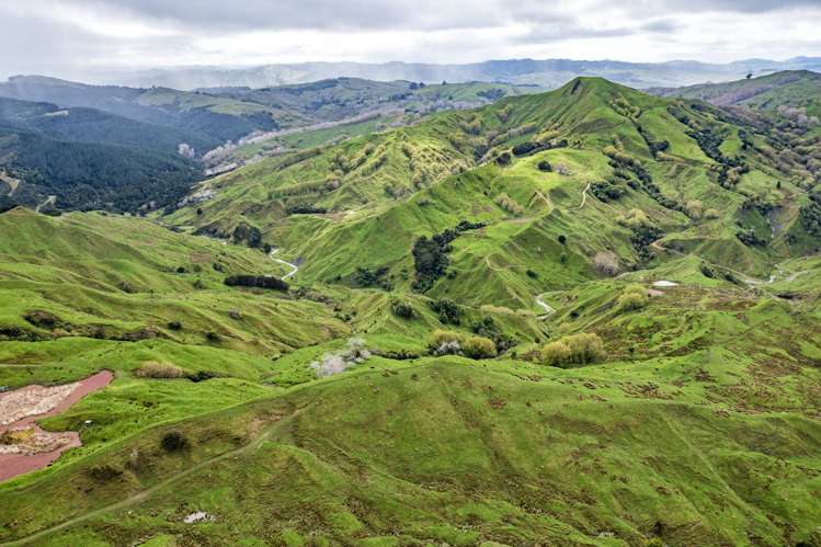 783 Glenroy Road Whangara_9