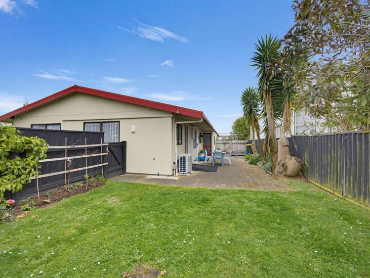 133 Tiro Tiro Road Levin_17