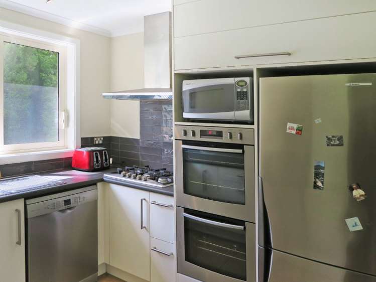 2350 Tahakopa Valley Road Catlins Surrounds_2