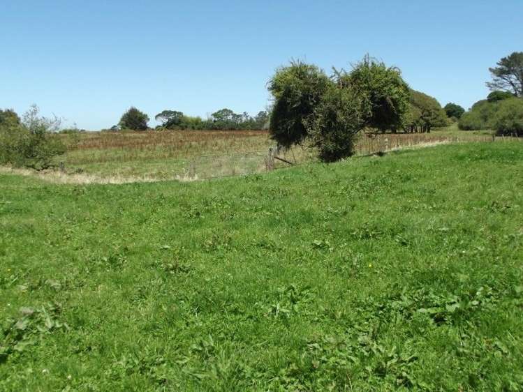 3082 Mountain Road Midhirst_47