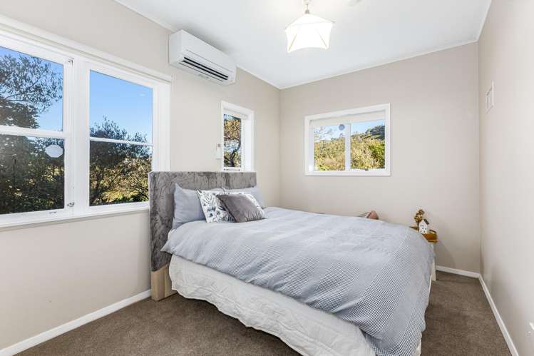 4 Broomhill Road Aro Valley_16