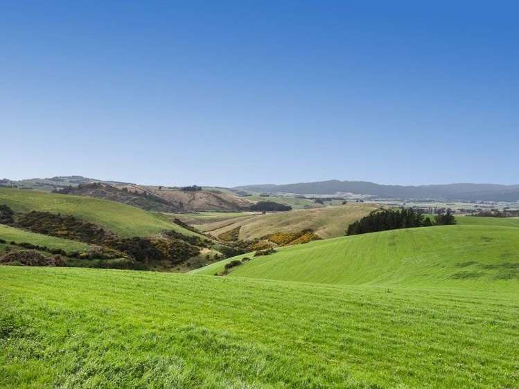 385 North Branch Road Milton_16