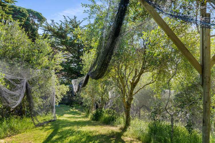 1082 Thames Coast Road Kereta_21