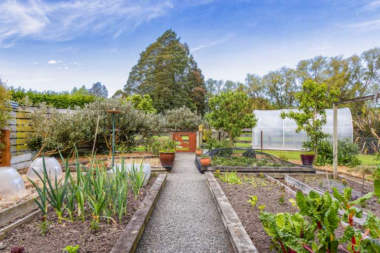 155 Greens Road Tuahiwi_26