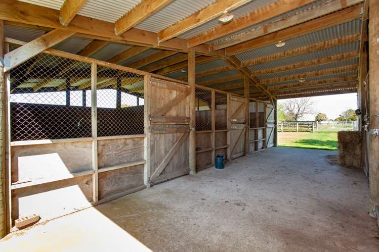 26 Waihekau Road Hauraki Surrounds_10