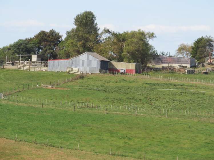 471 Sainsbury Road Pirongia_18