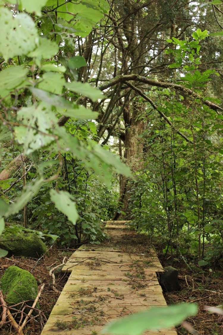 529 Whatitiri Road Poroti_12