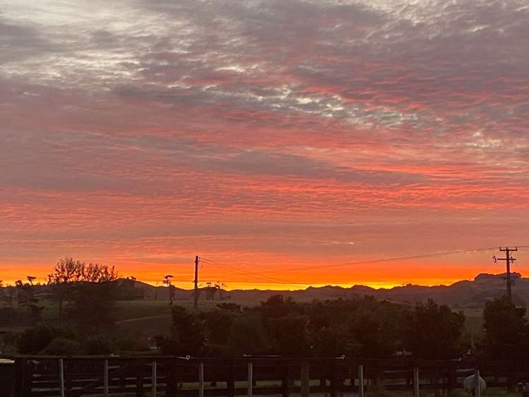 79 Evans Road South Head_6