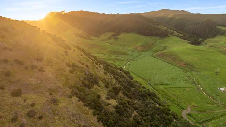 550 Black Jack Road Opito Bay_6