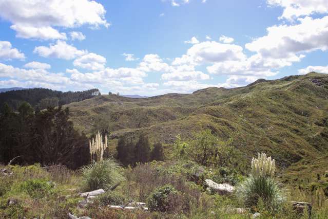 Broadwood Road Broadwood_4