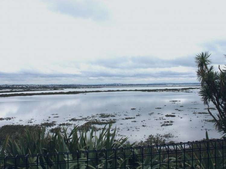 33e Seaside Avenue Waterview_21