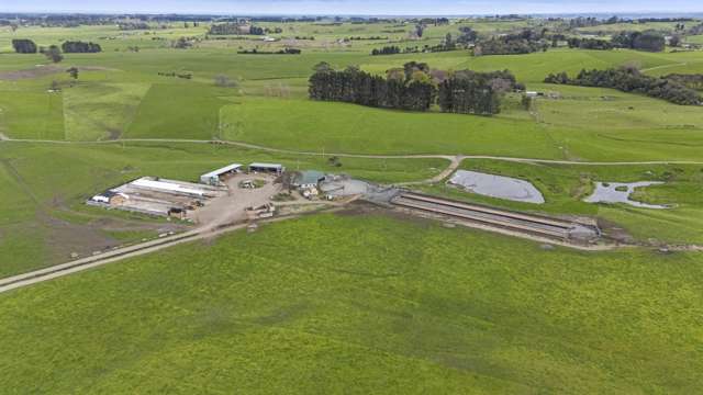 Dairy unit with scale and versatility