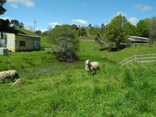 144 Honikiwi Road Otorohanga_2