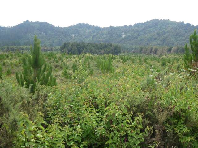 Camerons Road Marsden_2