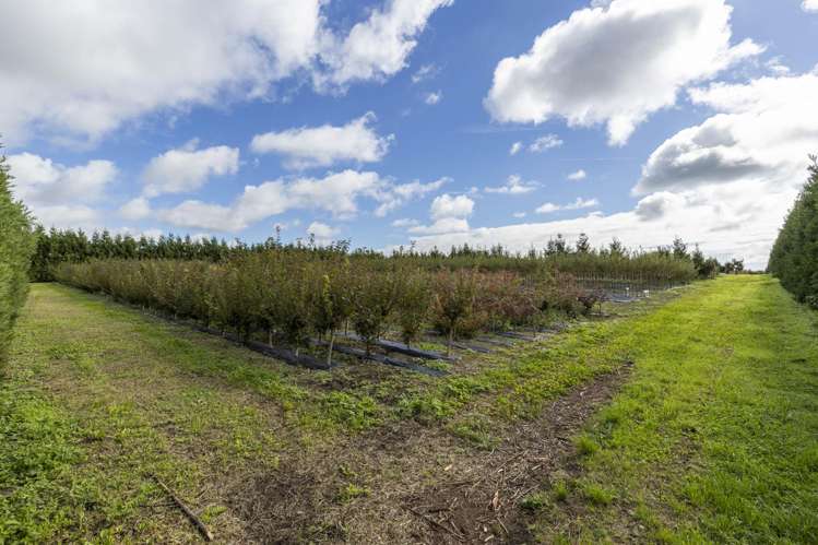 69 Matarikoriko Road Waitara_15