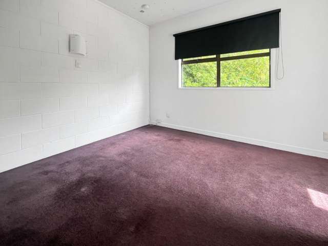 10/8 Pratt Street Freemans Bay_3
