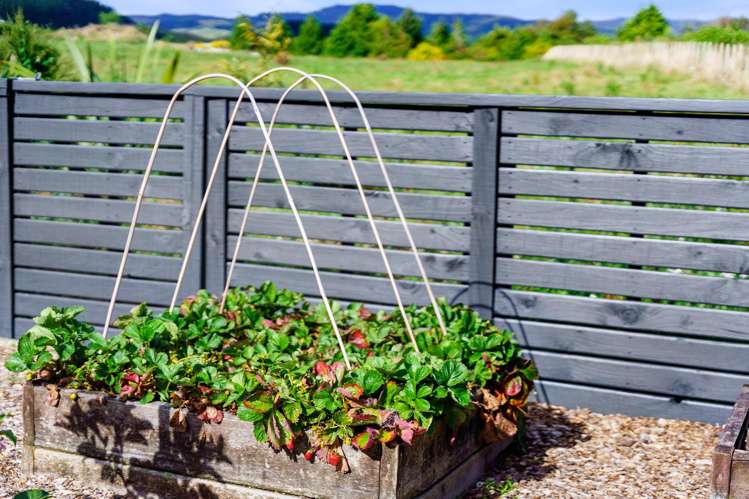 39 Speranza Avenue Otaki_29