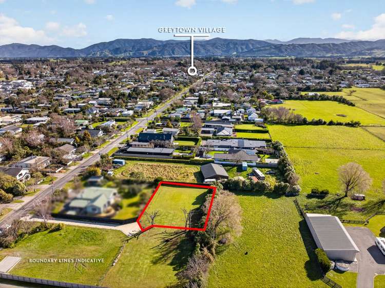 51A Jellicoe Street_1