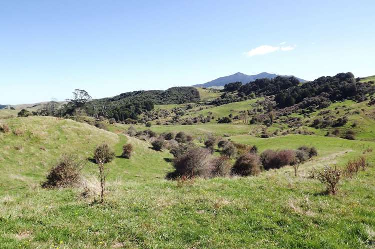 238 Waimaori Road Raglan_11